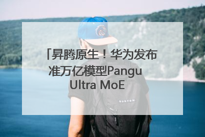 昇腾原生！华为发布准万亿模型Pangu Ultra MoE模型架构和训练细节