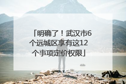 明确了！武汉市6个远城区享有这12个事项定价权限