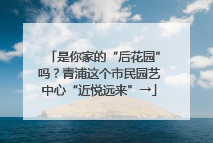 是你家的“后花园”吗？青浦这个市民园艺中心“近悦远来”→