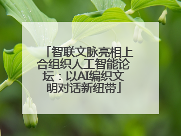 智联文脉亮相上合组织人工智能论坛：以AI编织文明对话新纽带