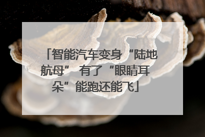 智能汽车变身“陆地航母” 有了“眼睛耳朵”能跑还能飞
