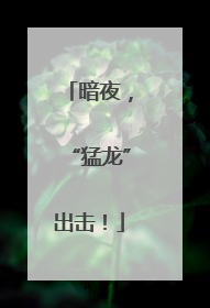 暗夜，“猛龙”出击！