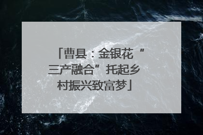 曹县：金银花“三产融合”托起乡村振兴致富梦