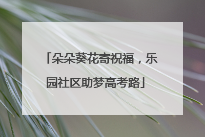 朵朵葵花寄祝福，乐园社区助梦高考路