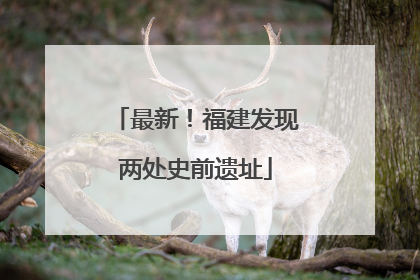 最新！福建发现两处史前遗址