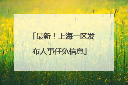 最新！上海一区发布人事任免信息