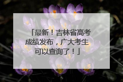 最新！吉林省高考成绩发布，广大考生可以查询了！