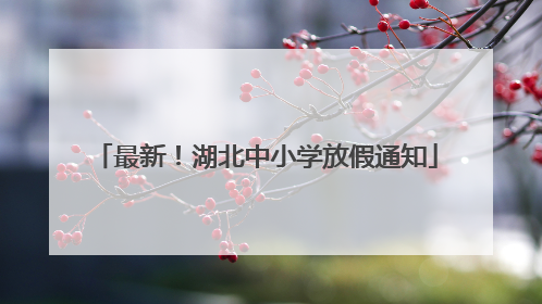 最新！湖北中小学放假通知