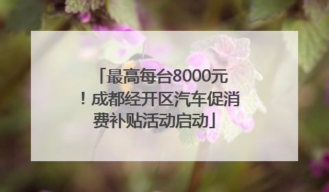 最高每台8000元！成都经开区汽车促消费补贴活动启动