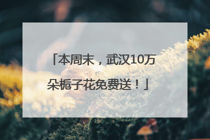 本周末，武汉10万朵栀子花免费送！