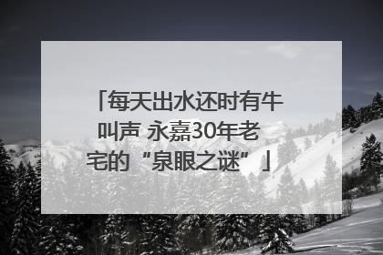 每天出水还时有牛叫声 永嘉30年老宅的“泉眼之谜”