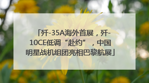 歼-35A海外首展，歼-10CE低调“赴约”，中国明星战机组团亮相巴黎航展