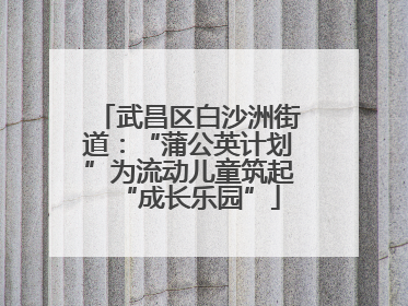 武昌区白沙洲街道：“蒲公英计划”为流动儿童筑起“成长乐园”