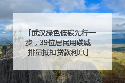 武汉绿色低碳先行一步，39位居民用碳减排量抵扣贷款利息