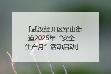 武汉经开区军山街道2025年“安全生产月”活动启动