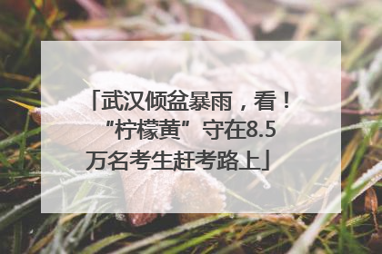 武汉倾盆暴雨，看！“柠檬黄”守在8.5万名考生赶考路上