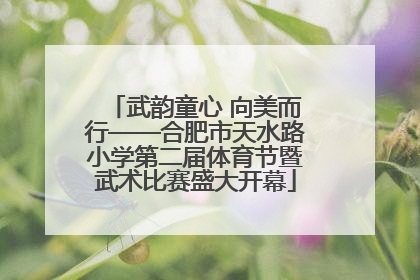 武韵童心 向美而行——合肥市天水路小学第二届体育节暨武术比赛盛大开幕