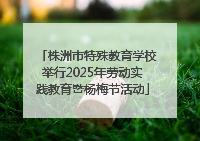 株洲市特殊教育学校举行2025年劳动实践教育暨杨梅节活动