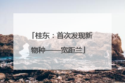 桂东：首次发现新物种——宽距兰