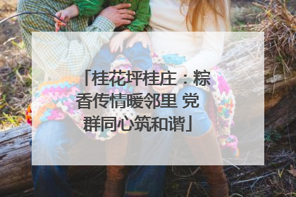 桂花坪桂庄：粽香传情暖邻里 党群同心筑和谐