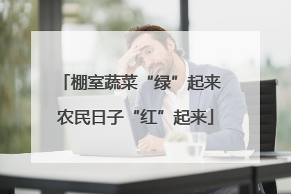 棚室蔬菜“绿”起来 农民日子“红”起来