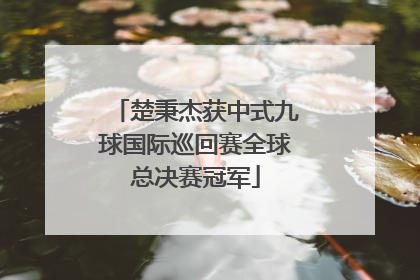 楚秉杰获中式九球国际巡回赛全球总决赛冠军
