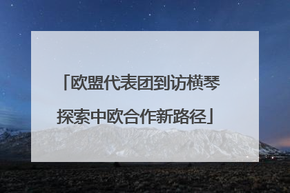 欧盟代表团到访横琴 探索中欧合作新路径