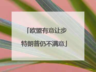 欧盟有意让步 特朗普仍不满意