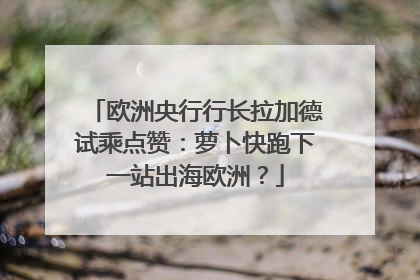 欧洲央行行长拉加德试乘点赞：萝卜快跑下一站出海欧洲？