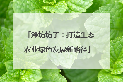 潍坊坊子：打造生态农业绿色发展新路径