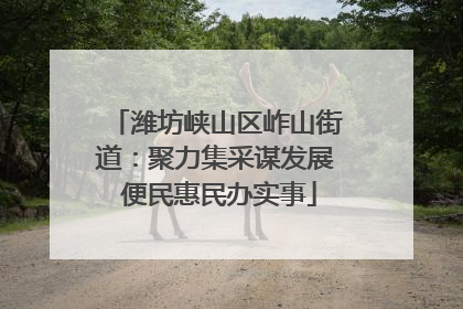 潍坊峡山区岞山街道：聚力集采谋发展 便民惠民办实事
