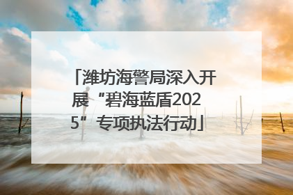 潍坊海警局深入开展“碧海蓝盾2025”专项执法行动