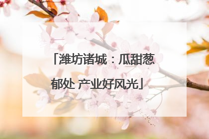 潍坊诸城：瓜甜葱郁处 产业好风光