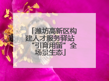 潍坊高新区构建人才服务驿站“引育用留”全场景生态