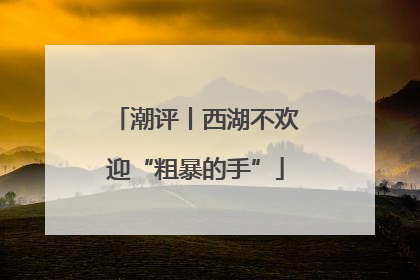 潮评丨西湖不欢迎“粗暴的手”
