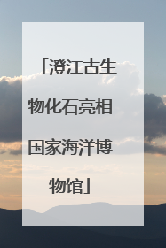 澄江古生物化石亮相国家海洋博物馆