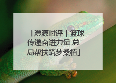 澧源时评｜篮球传递奋进力量 总局帮扶筑梦桑植