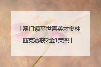 澳门镜平世青英才奥林匹克赛获2金1荣誉