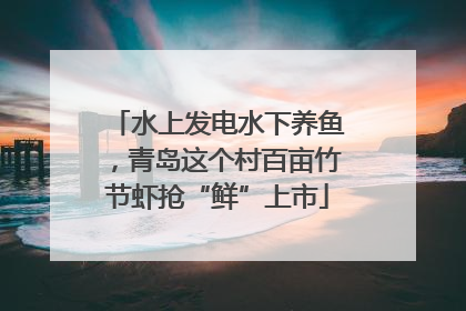 水上发电水下养鱼，青岛这个村百亩竹节虾抢“鲜”上市