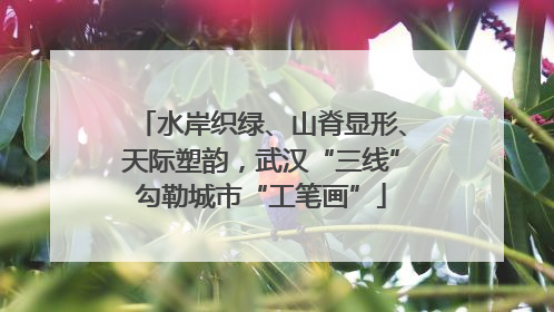 水岸织绿、山脊显形、天际塑韵，武汉“三线”勾勒城市“工笔画”
