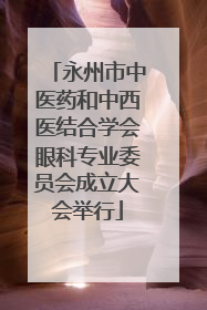 永州市中医药和中西医结合学会眼科专业委员会成立大会举行