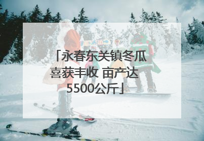 永春东关镇冬瓜喜获丰收 亩产达5500公斤