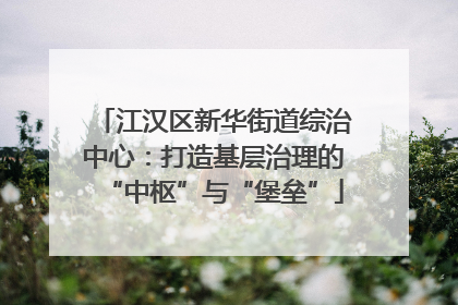 江汉区新华街道综治中心：打造基层治理的“中枢”与“堡垒”