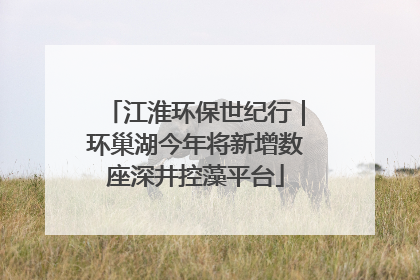 江淮环保世纪行｜环巢湖今年将新增数座深井控藻平台