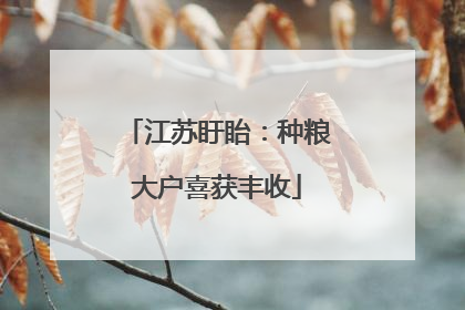 江苏盱眙：种粮大户喜获丰收