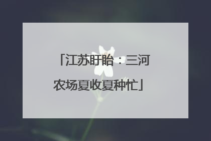 江苏盱眙：三河农场夏收夏种忙