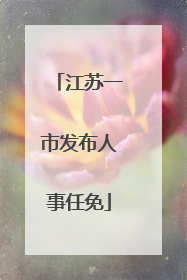 江苏一市发布人事任免