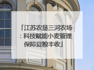 江苏农垦三河农场：科技赋能小麦管理保障夏粮丰收