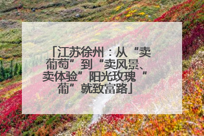江苏徐州：从“卖葡萄”到“卖风景、卖体验”阳光玫瑰“葡”就致富路