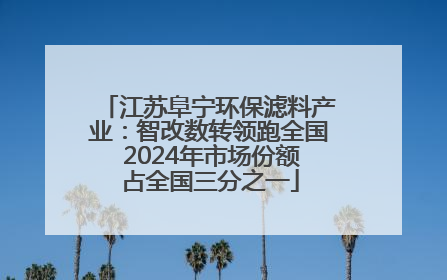江苏阜宁环保滤料产业：智改数转领跑全国 2024年市场份额占全国三分之一